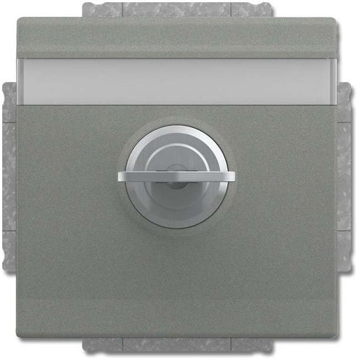 Busch-Jaeger - Steckdose SCHUKO Steckdosen-Einsatz 20 EUKNBSL-803-101 graumetallic