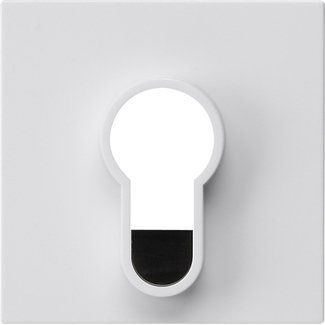 Gira - Abdeckung/Bedienelement für Installationsschalterprogramme Abdeckung 866403 Schlüsselschalter
