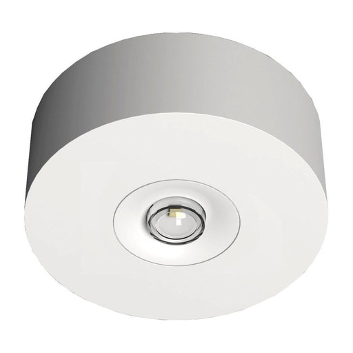 RP-Technik - Sicherheitsleuchte LED-Sicherheitsleuchte EARL428WL Decke, Linsen, rund