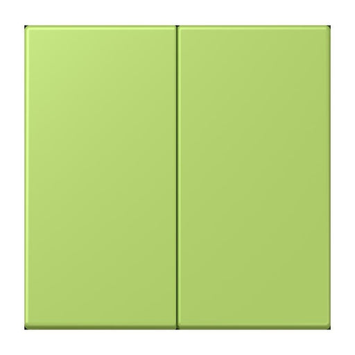 Jung - Bedienelement intelligent LB-Management Taster 2fach LC 1702 221 vert clair