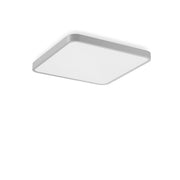 RZB - Decken-/Wandleuchte LED-Wand-u. Deckenleuchte 312441.004.1.76 840, DALI, si