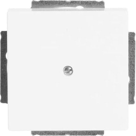 Busch-Jaeger - Einsatz/Abdeckung für Kommunikationstechnik Zentralscheibe dav/sws 1742-84 Blindabd,m.Tragring