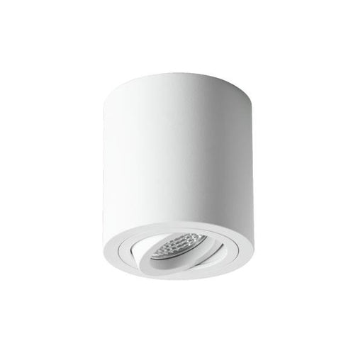 Brumberg Leuchten - Downlight/Strahler/Flutlicht Anbaumodul rund 45106170 strukturweiß