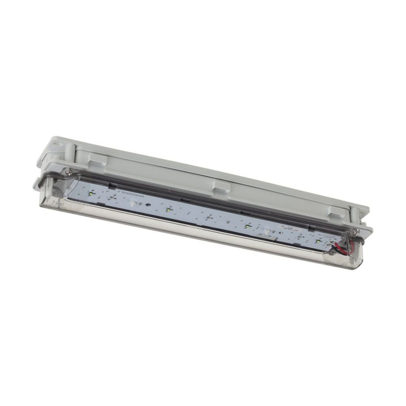 Ceag Notlichtsysteme - Sicherheitsleuchte LED-Sicherheitsleuchte StyleII21011L.SLOCGS