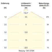 EVN Lichttechnik - Decken-/Wandleuchte LED-Wandleuchte SL44121425 IP44