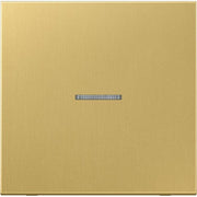 Jung - Abdeckung/Bedienelement für Installationsschalterprogramme Wippe Mess/clas ME 2990 KO5 C f. Kontrollschalter