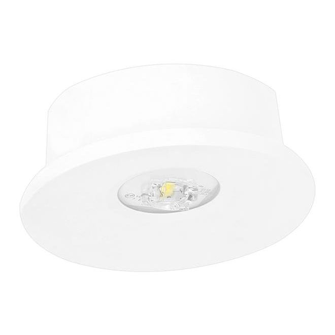 Fischer - Sicherheitsleuchte LED-Sicherheitsleuchte AXE819SC.V2 EB 8h
