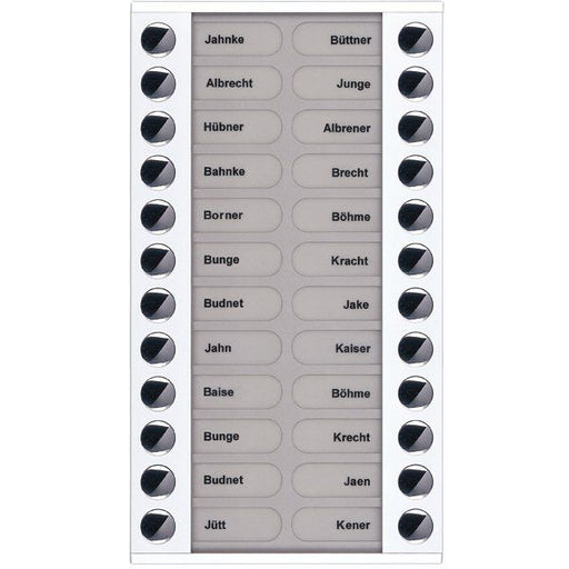 TCS Tür Control - Montageelement für Türstation Audioaußenstation 2-reihig PET24-WS/04 Erw.24 Tasten AP ws