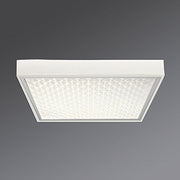 Regiolux - Decken-/Wandleuchte LED-Anbauleuchte protect #62000014150 4000K