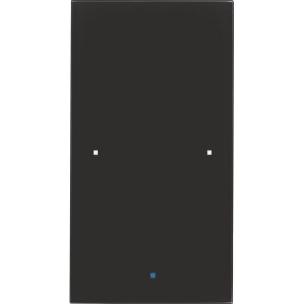 Berker - Bussystem-Tastsensor Glas-Sensor 1fach 75141835 schwarz