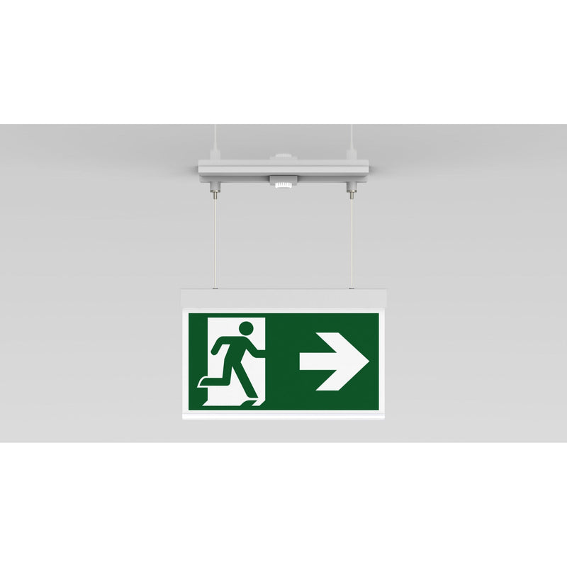RP-Technik - Sicherheitsleuchte Rettungszeichenleuchte AXCT009ML ZB, ML, Piktoset
