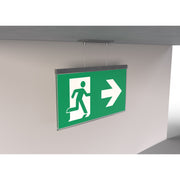 RP-Technik - Sicherheitsleuchte LED-Rettungszeichenleuchte AGCC408WL-E EB8h Wirel. eds-opt