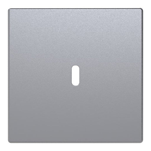 Busch-Jaeger - Einsatz/Abdeckung für Kommunikationstechnik Zentralscheibe 6479-83 USB-C-Power