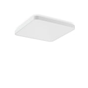 RZB - Decken-/Wandleuchte LED-Wand-u. Deckenleuchte 312441.002.1.76 840, DALI, ws