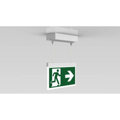 RP-Technik - Sicherheitsleuchte Rettungszeichenleuchte AXDC408WL 8h, Wireless, ws
