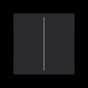 Busch-Jaeger - Bussystem-Tastwippe Abdeckung, 2-fach LFW/A.2.63.11-885 für Keypad