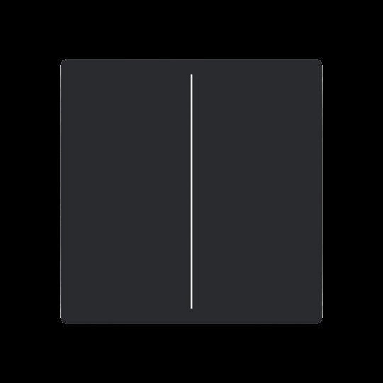 Busch-Jaeger - Bussystem-Tastwippe Abdeckung, 2-fach LFW/A.2.63.11-885 für Keypad