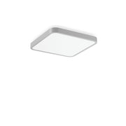 RZB - Decken-/Wandleuchte LED-Wand-u. Deckenleuchte 312653.004.76 830, DALI, si