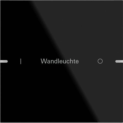 Gira - Bussystem-Tastwippe Wippenset 1-fach 503105 Tastsens TS4 G sw