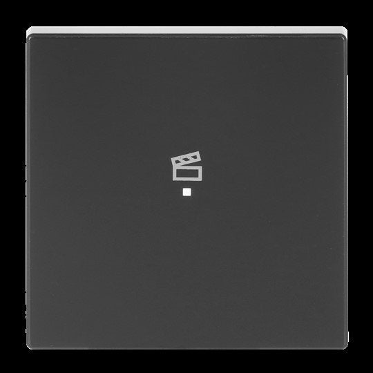 Busch-Jaeger - Bussystem-Tastwippe Wippe 1-f Symbol Szene 6233-10-81 anthrazit