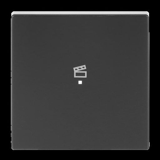 Busch-Jaeger - Bussystem-Tastwippe Wippe 1-f Symbol Szene 6233-10-81 anthrazit