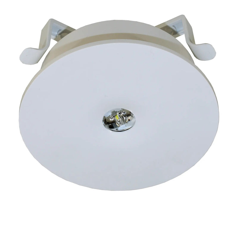 RP-Technik - Sicherheitsleuchte ILEL029ML ZB