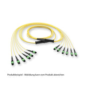 Corning - System-Patchkabel LWL EDGE8 Trunkkabel 30m GE7E772GLZDDU030M 50µm SM OS2 72F MTP