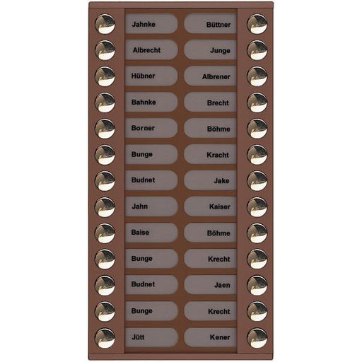 TCS Tür Control - Montageelement für Türstation Audioaußenstation 2-reihig PET26-EB/04 Erw.26 Tasten bronze