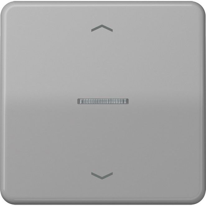 Jung - Bedienelement intelligent eNet Funk-Steuertaste FM CD 1700 P GR Standard 1fach, grau