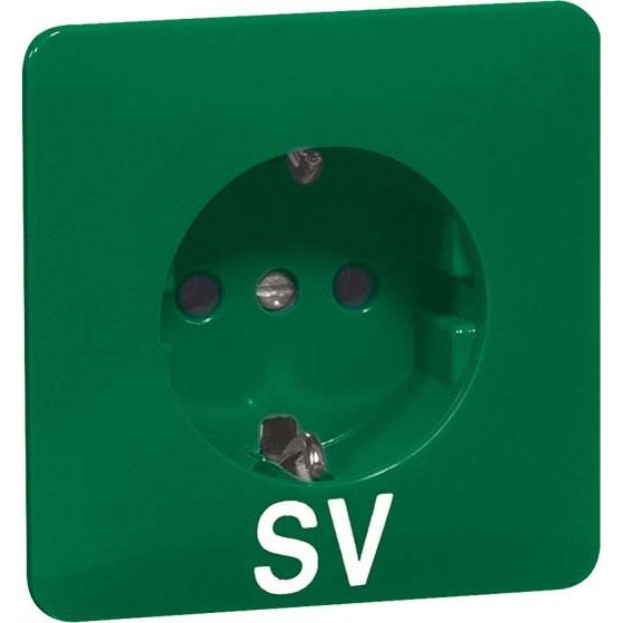 Peha - Schalter-/Steckdosenkombination Steckdose D 80.6611 GRÜN SV