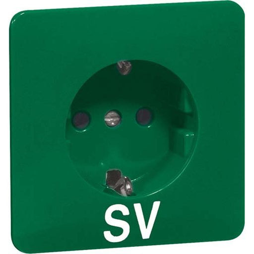 Peha - Schalter-/Steckdosenkombination Steckdose D 80.6611 GRÜN SV
