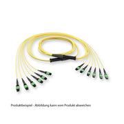 Corning - System-Patchkabel LWL EDGE8 Trunkkabel 30m GE7E724GLZDDU030M 50µm SM OS2 24F MTP