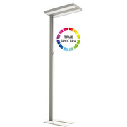 Dotlux - Stehleuchte LED-Stehleuchte 5227-155075 5500K dimmbar