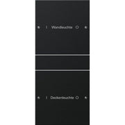Gira - Bussystem-Tastwippe Wippenset 2-fach 2202005 beschr. Sys 55 sw