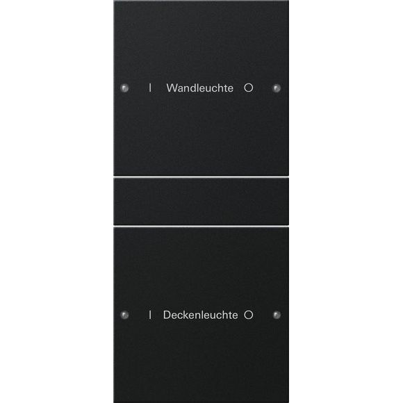 Gira - Bussystem-Tastwippe Wippenset 2-fach 2202005 beschr. Sys 55 sw