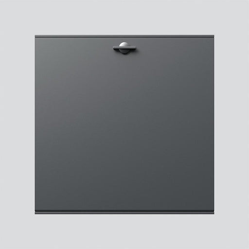 Siedle&Söhne - Funktionsmodul für Türkommunikation Ablagefach-Modul AFM 611-4/4-0 DG dgr/gli