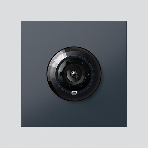 Siedle&Söhne - Funktionsmodul für Türkommunikation Access-Kamera 130 ACM 673-03 AG Vario