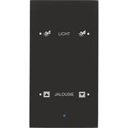 Berker - Bussystem-Tastsensor Glas-Sensor 2fach 75142935 schwarz