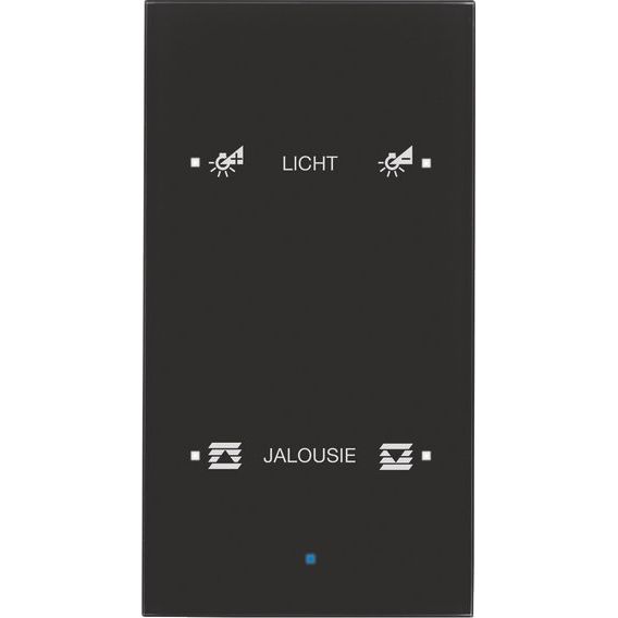 Berker - Bussystem-Tastsensor Glas-Sensor 2fach 75142935 schwarz