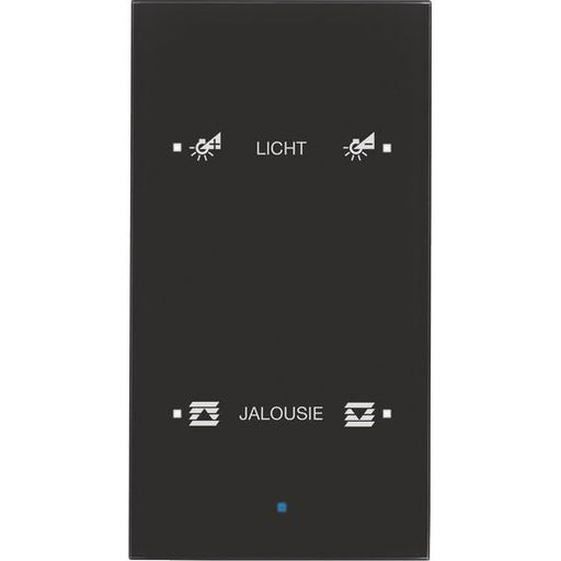 Berker - Bussystem-Tastsensor Glas-Sensor 2fach 75142935 schwarz