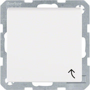 Berker - Steckdose Erdstift Steckdose 6768771909 S.1 IP44 pws matt