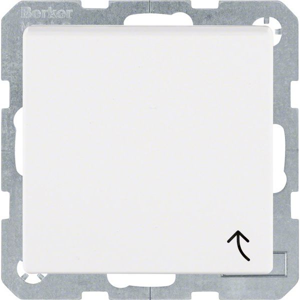 Berker - Steckdose Erdstift Steckdose 6768771909 S.1 IP44 pws matt