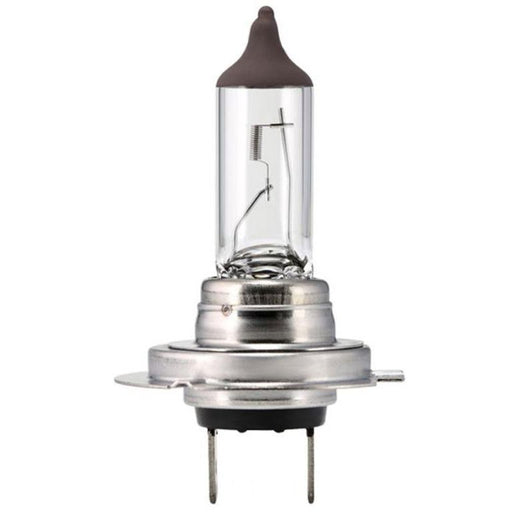 Scharnberger+Hasenbein - Fahrzeuglampe Autolampe Halogen H7 81137 PX26d 24V 70W