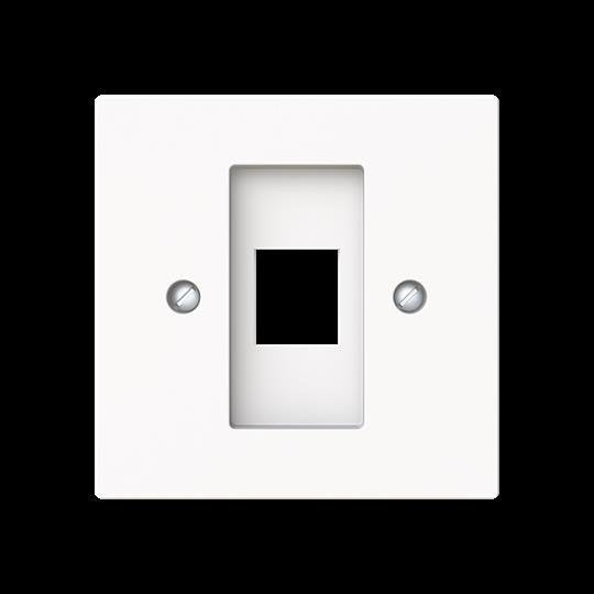 Busch-Jaeger - Einsatz/Abdeckung für Kommunikationstechnik Zentralscheibe m. Tragring 2561-44M Modular-Jack