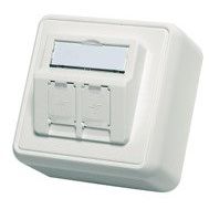 Telegärtner - Kommunikationsanschlussdose Kupfer Modul-Aufnahme AP 80x80 100021382 2fach aws leer − 1 Stück