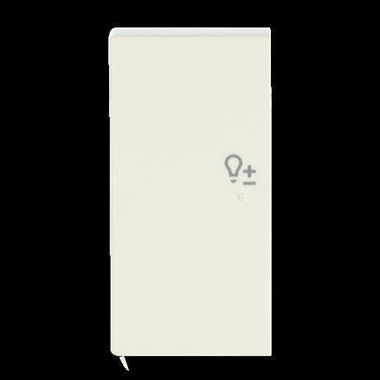 Busch-Jaeger - Bussystem-Tastwippe Wippe elf/ws 6234-21-82 future linear