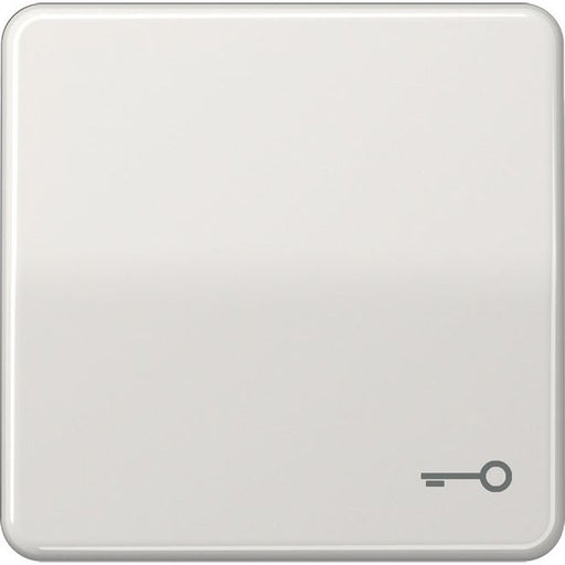 Jung - Abdeckung/Bedienelement für Installationsschalterprogramme Wippe Symbol TÜR lgr CD 590 T LG für Taster
