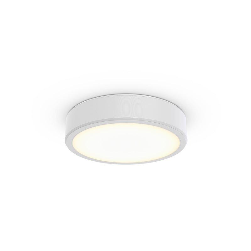 Philips Lighting - Decken-/Wandleuchte 3D-LED-Leuchte TCBRMS 19S #86388000 930