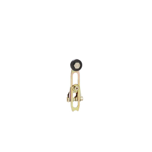 Telemechanique Sensors - Antriebskopf für Positionsschalter/Scharnierschalter Schwenkhebel ZCKY12 W