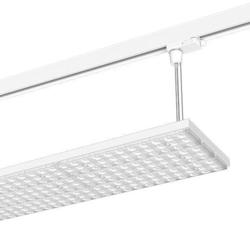 LTS Licht&Leuchten - Pendelleuchte LED-Stromschienenleuchte LUZ-P32 110.830.BWws 830, ws